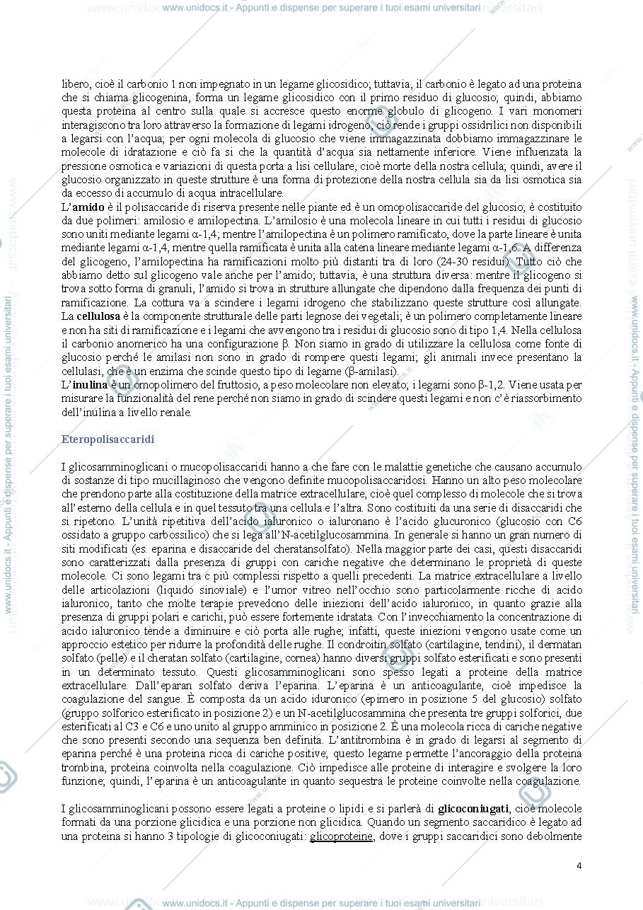 Anteprima pagina 4 — Biochimica modulo I