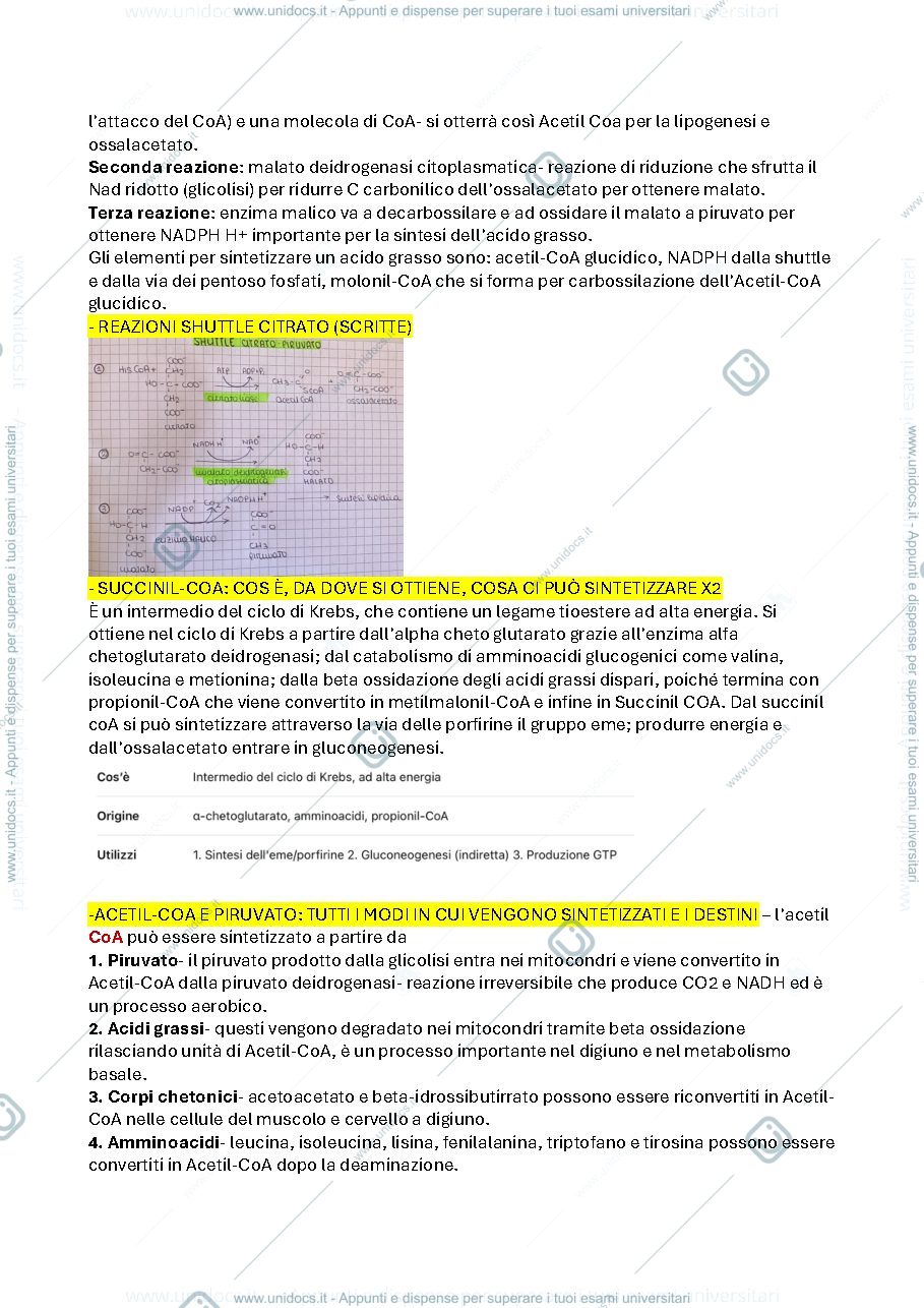 Anteprima pagina 2 — domande esame di biochimica 2