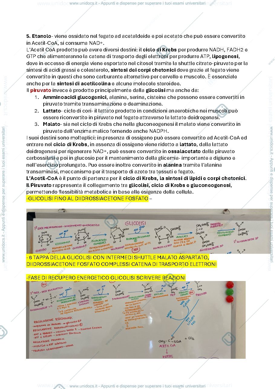 Anteprima pagina 3 — domande esame di biochimica 2