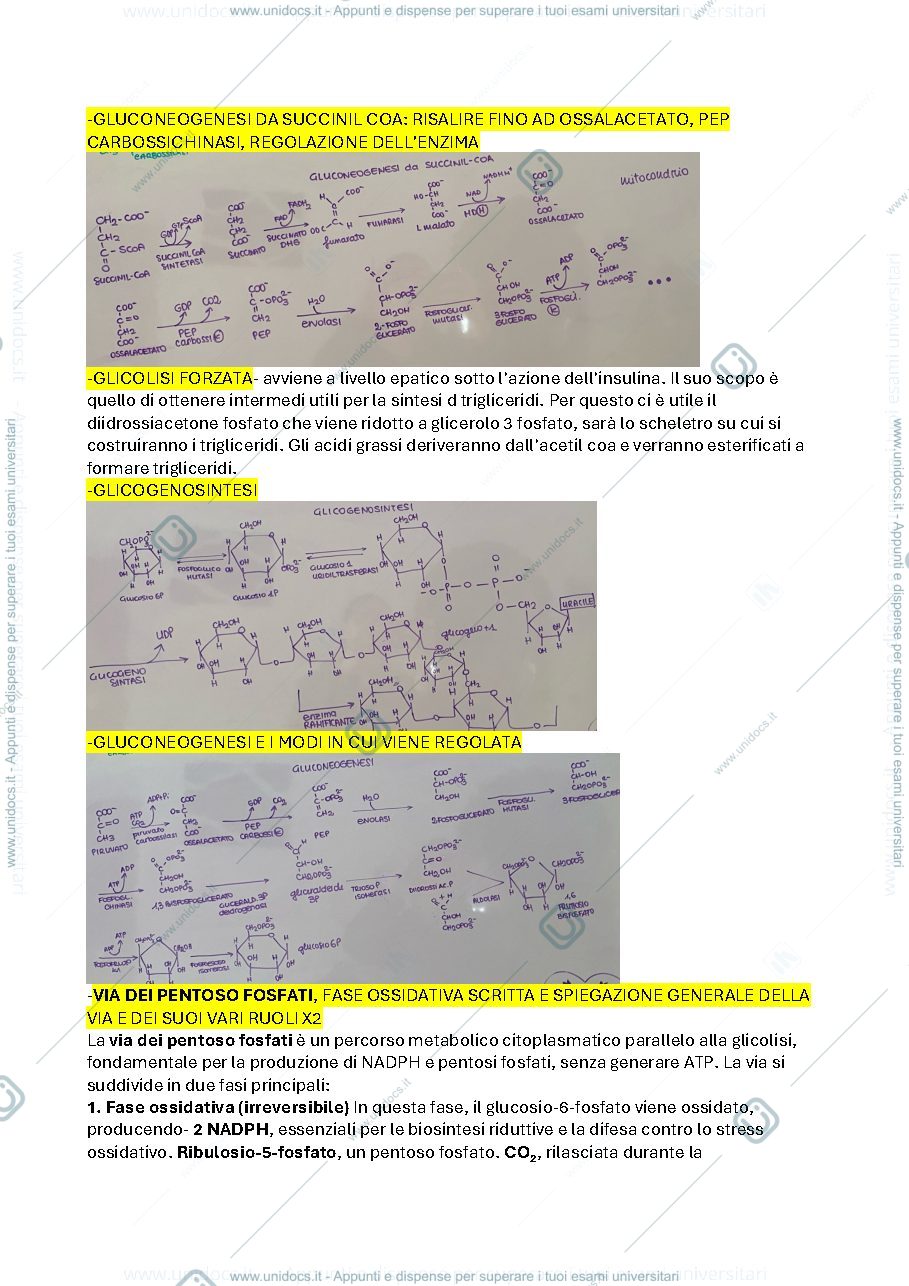 Anteprima pagina 4 — domande esame di biochimica 2