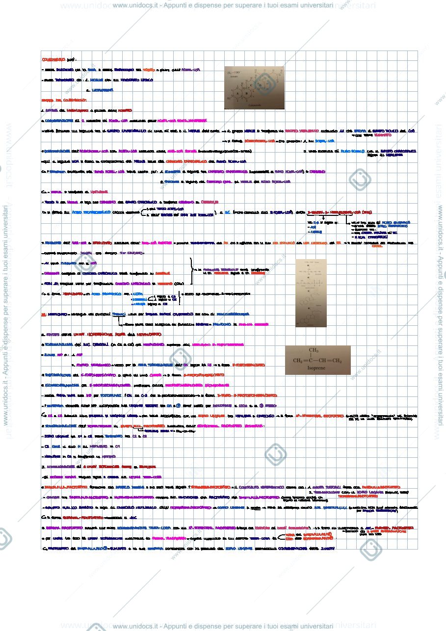 Anteprima pagina 1 — Colesterolo e derivati