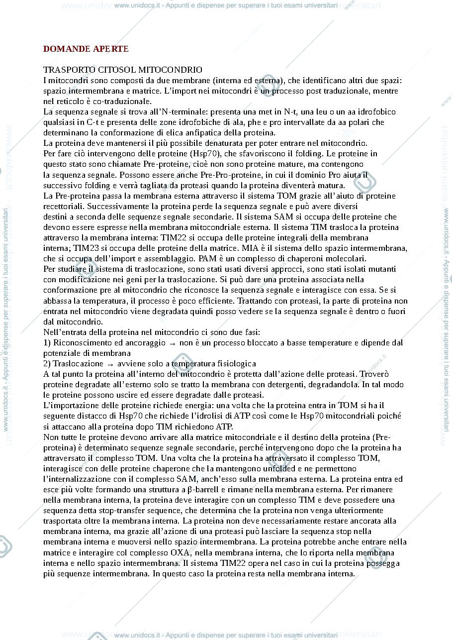 Anteprima pagina 1 — BB