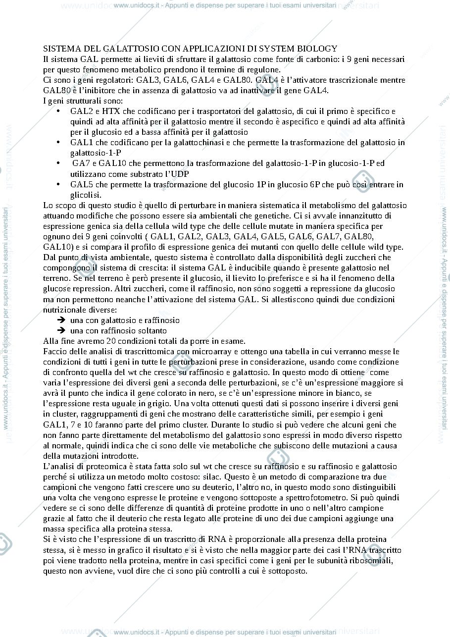 Anteprima pagina 2 — BB