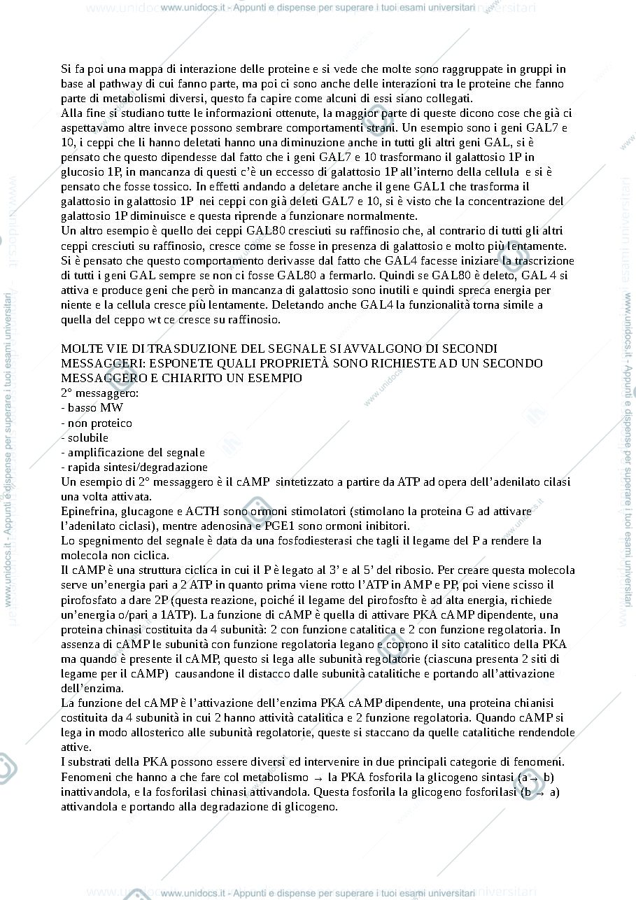 Anteprima pagina 3 — BB