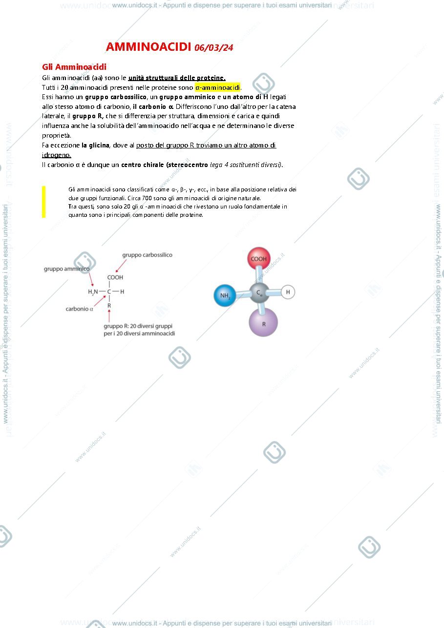 Anteprima pagina 1 — Amminoacidi