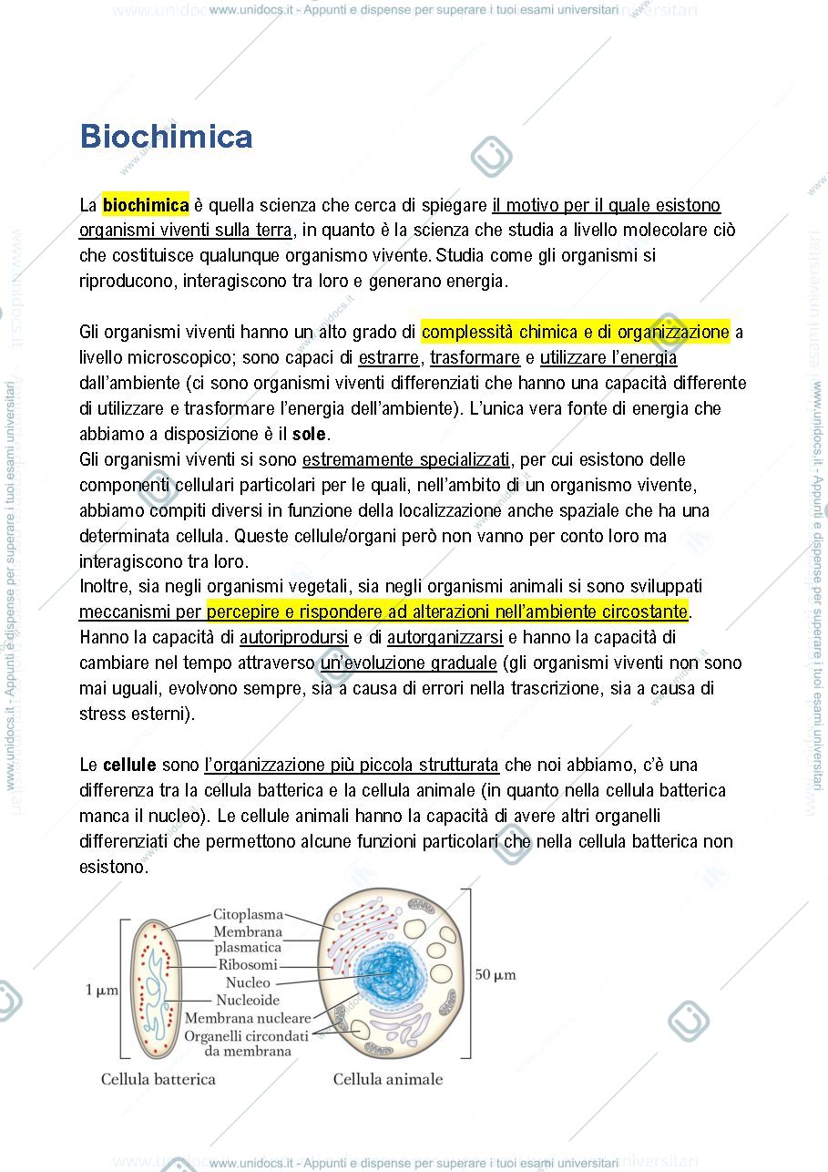 Anteprima pagina 1 — Lezioni BIOCHIMICA Trevisan, 1/3 delle lezioni