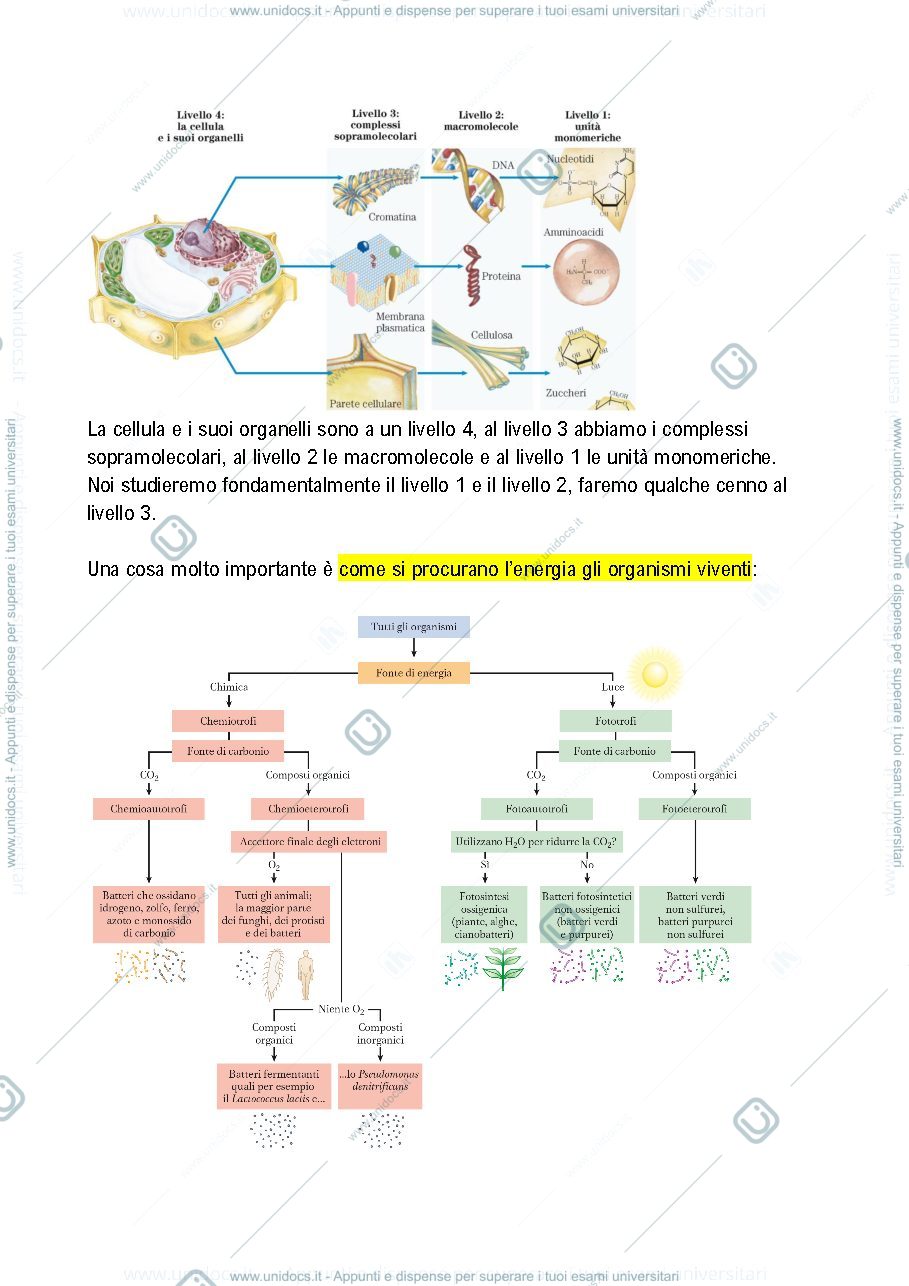 Anteprima pagina 3 — Lezioni BIOCHIMICA Trevisan, 1/3 delle lezioni