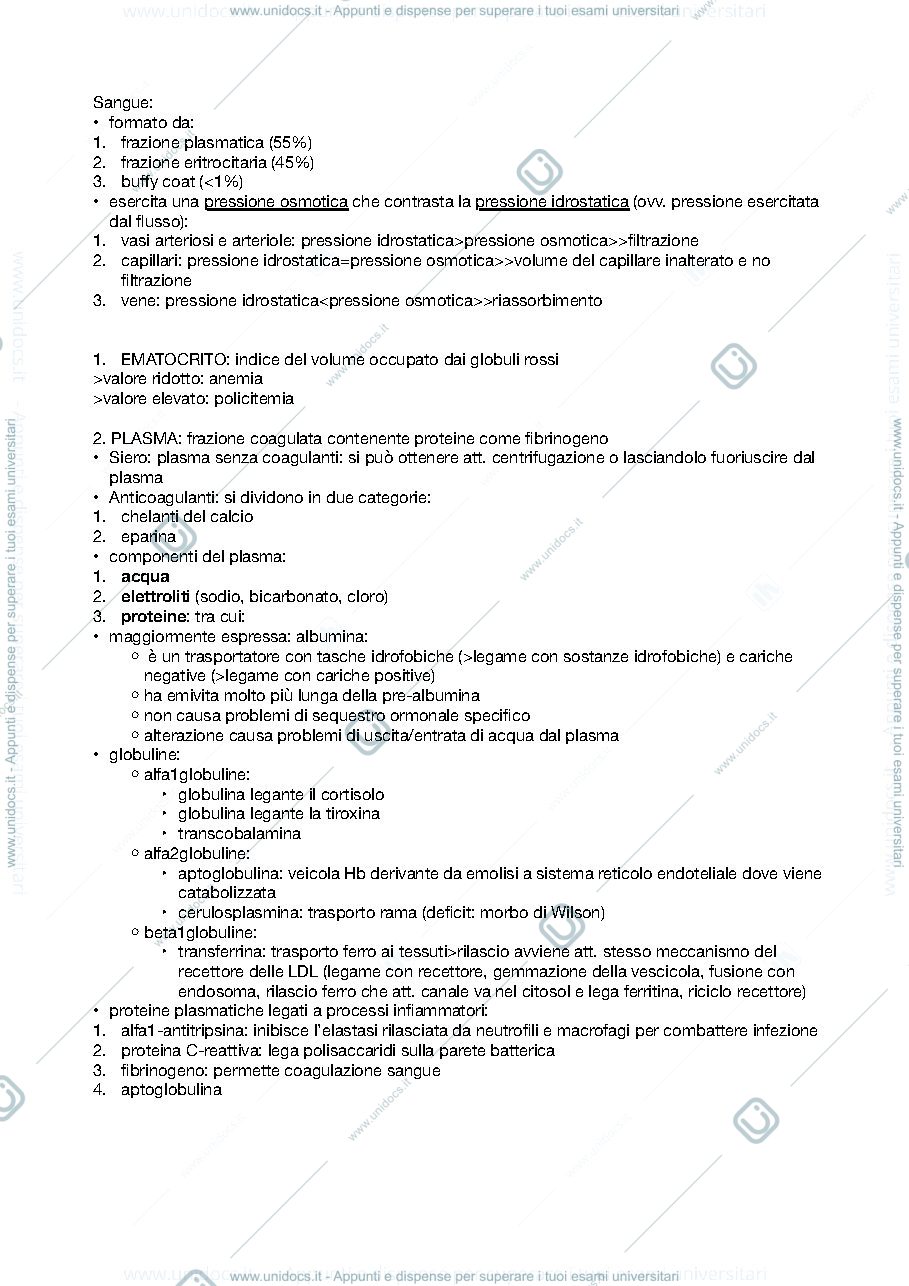 Anteprima pagina 1 — Biochimica del sangue