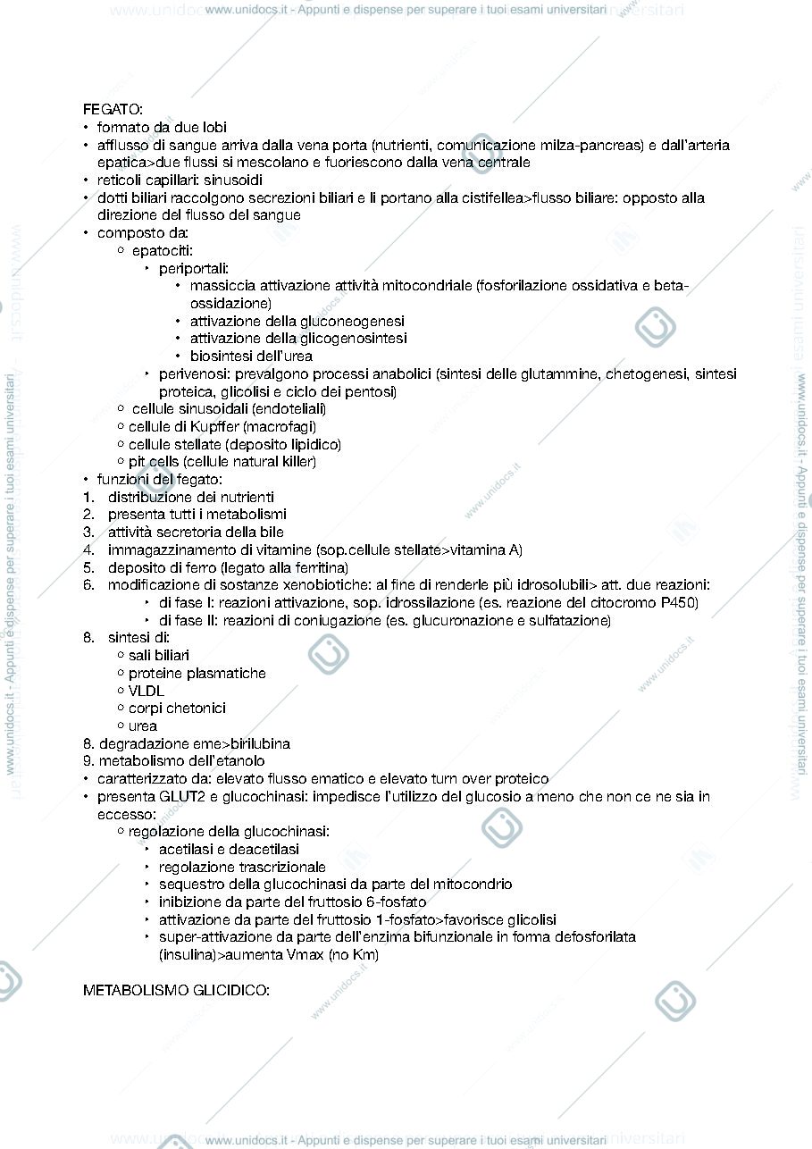 Anteprima pagina 1 — Biochimica del fegato