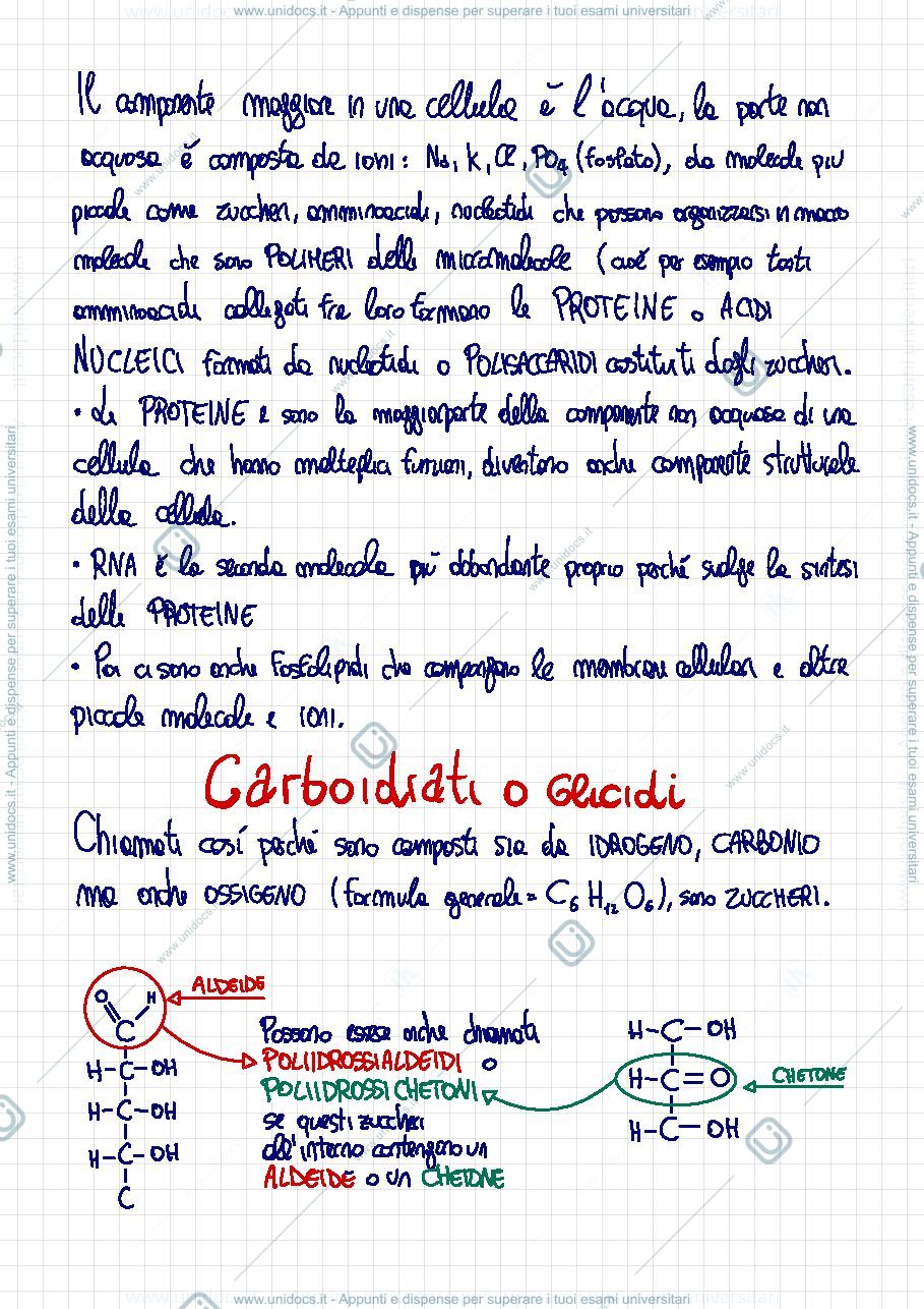 Anteprima pagina 4 — Biochimica strutturale e metabolica 