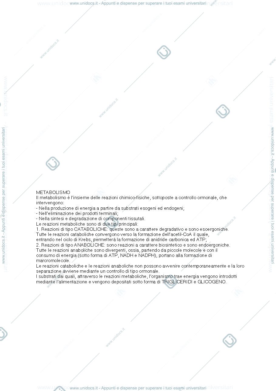 Anteprima pagina 1 — glicolisi, glicogenosintesi