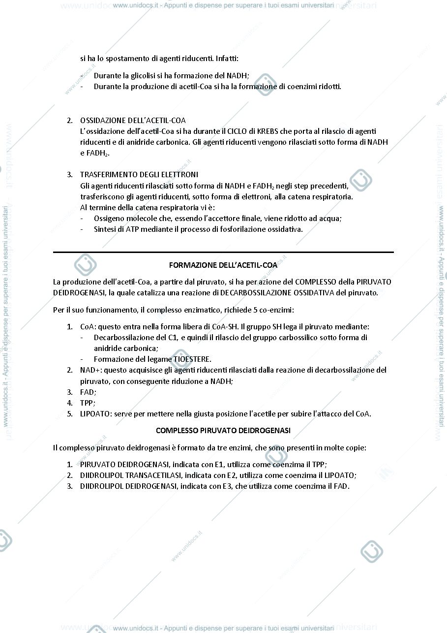 Anteprima pagina 3 — Ciclo di Crebs