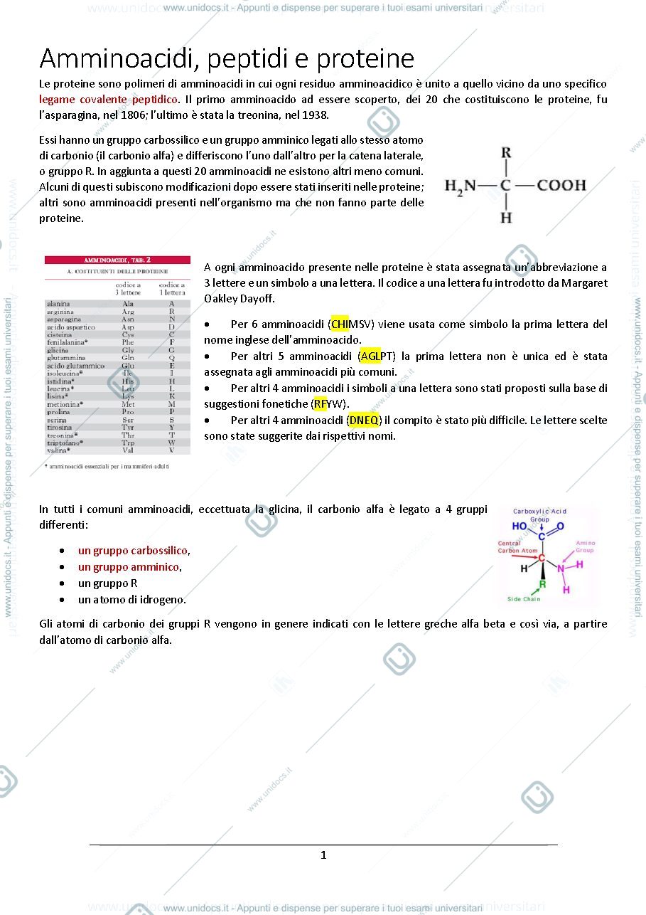 Anteprima pagina 1 — biochimica