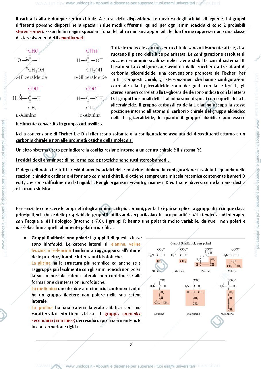 Anteprima pagina 2 — biochimica