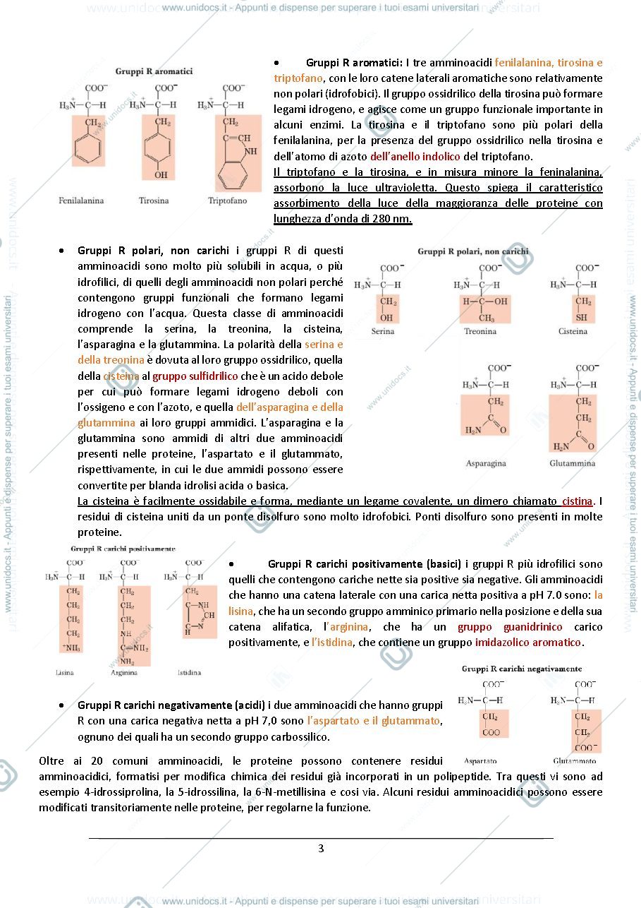 Anteprima pagina 3 — biochimica
