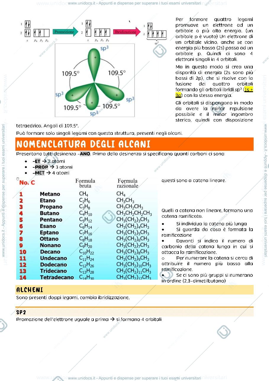 Anteprima pagina 2 — biochimica strutturale 1