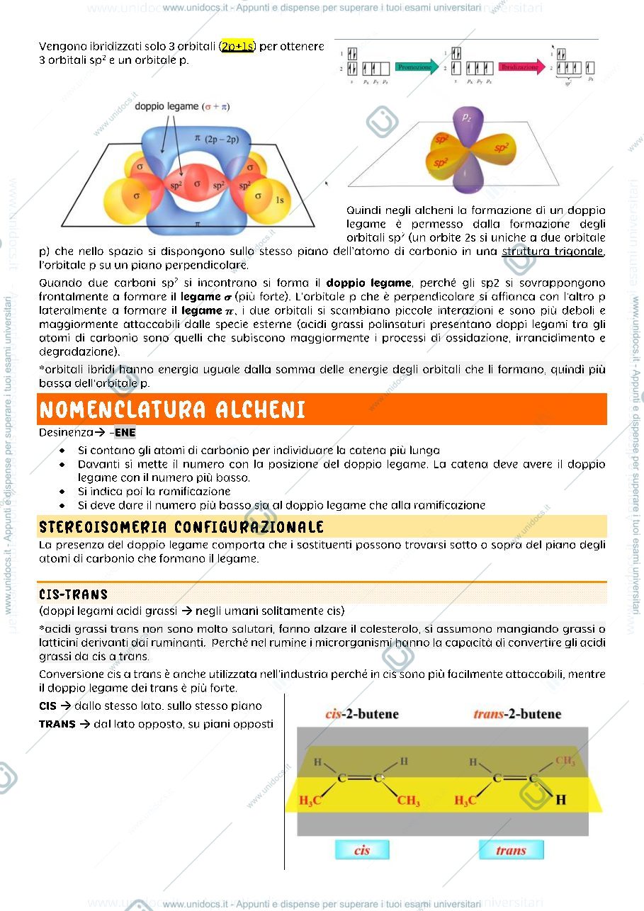 Anteprima pagina 3 — biochimica strutturale 1