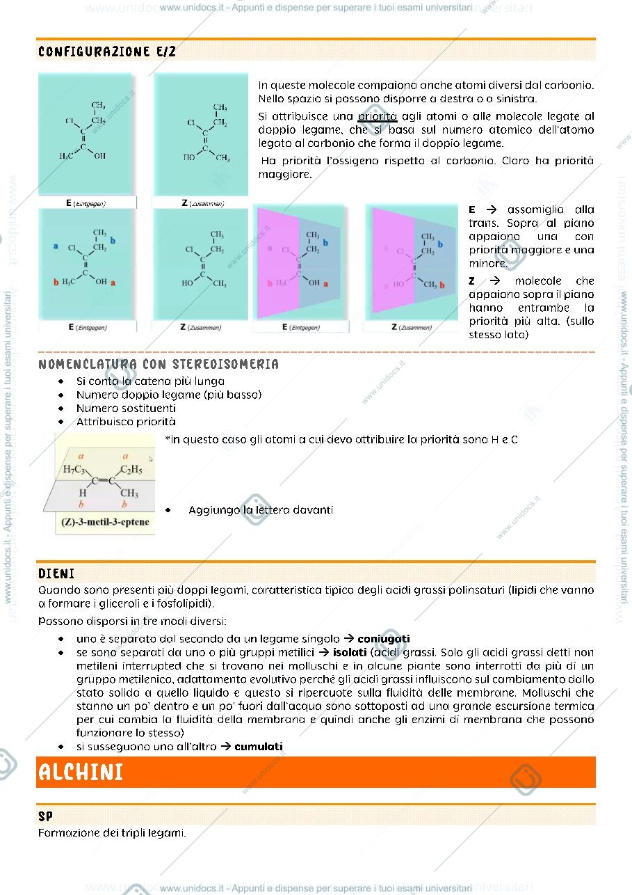 Anteprima pagina 4 — biochimica strutturale 1