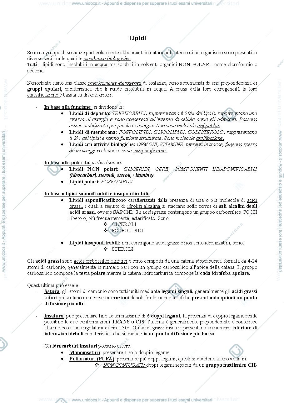 Anteprima pagina 1 — Lipidi