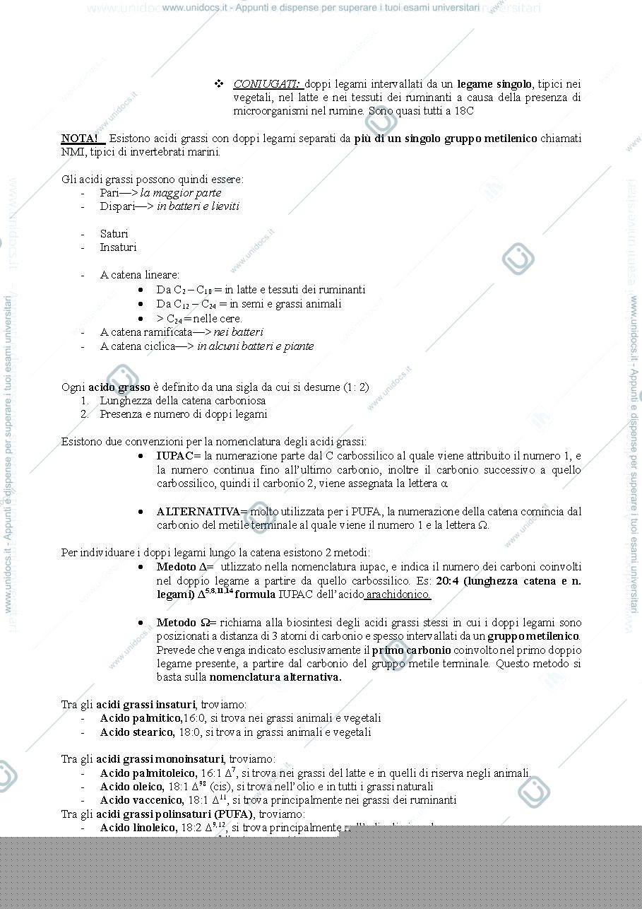 Anteprima pagina 2 — Lipidi