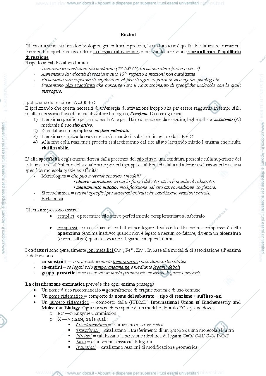 Anteprima pagina 1 — Enzimi 