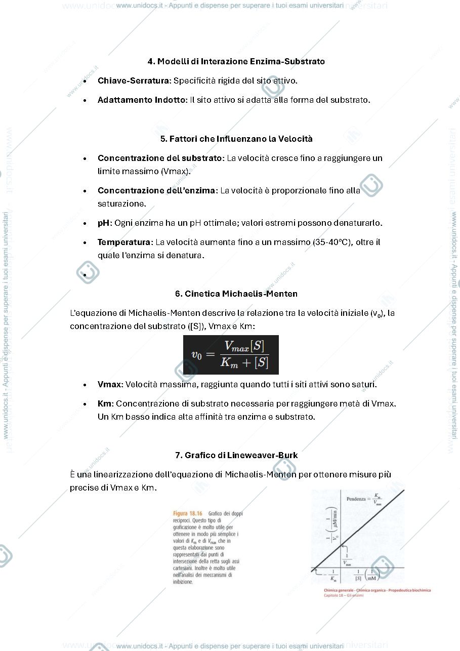Anteprima pagina 2 — Biochimica 2 miei appunti e riassunto 