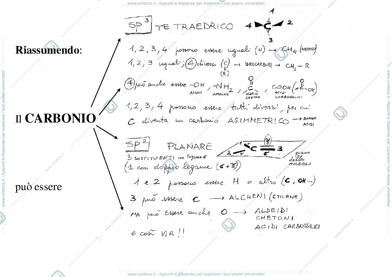 Anteprima pagina 1 — CARBONIO
