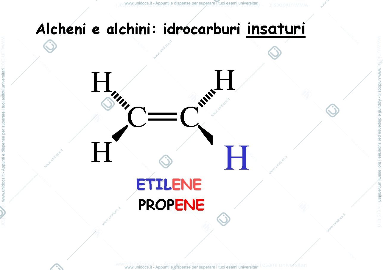 Anteprima pagina 2 — CARBONIO