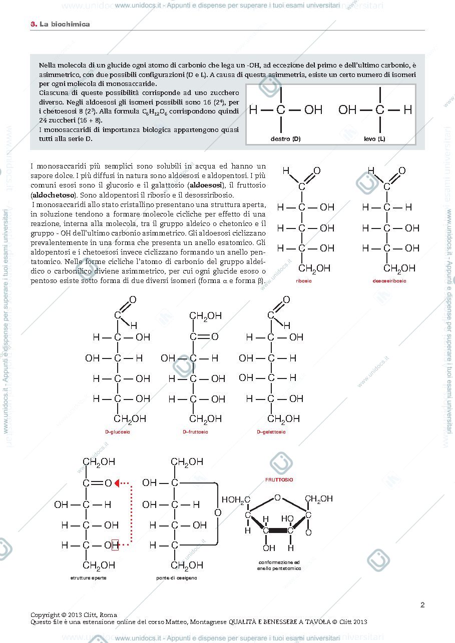 Anteprima pagina 2 — carboidrati