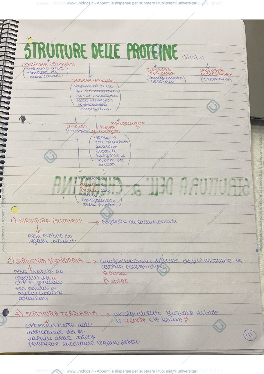 Anteprima pagina 1 — Struttura proteine 
