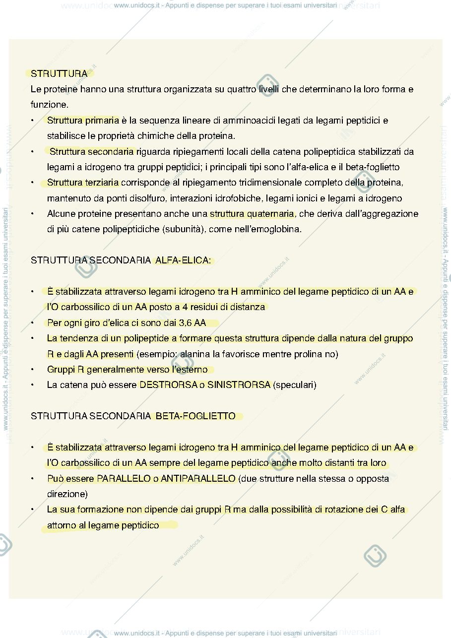 Anteprima pagina 3 — Biochimica 1