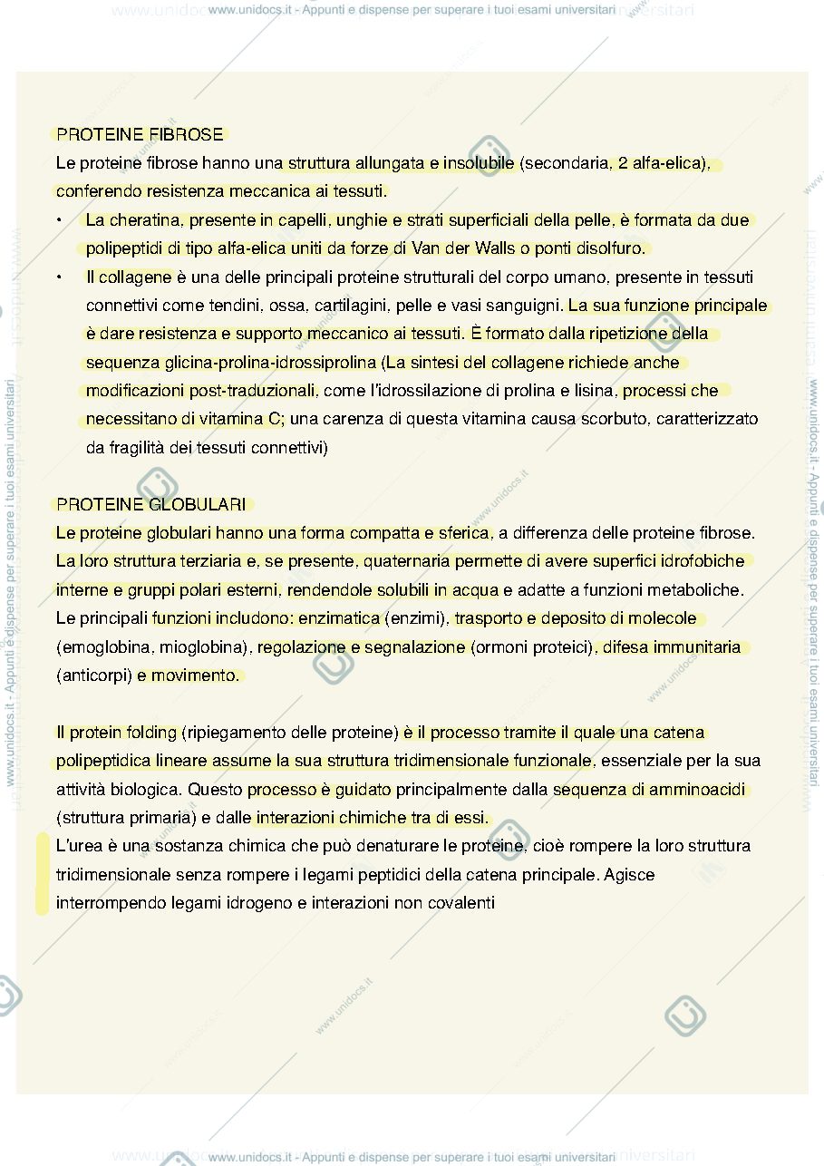 Anteprima pagina 4 — Biochimica 1