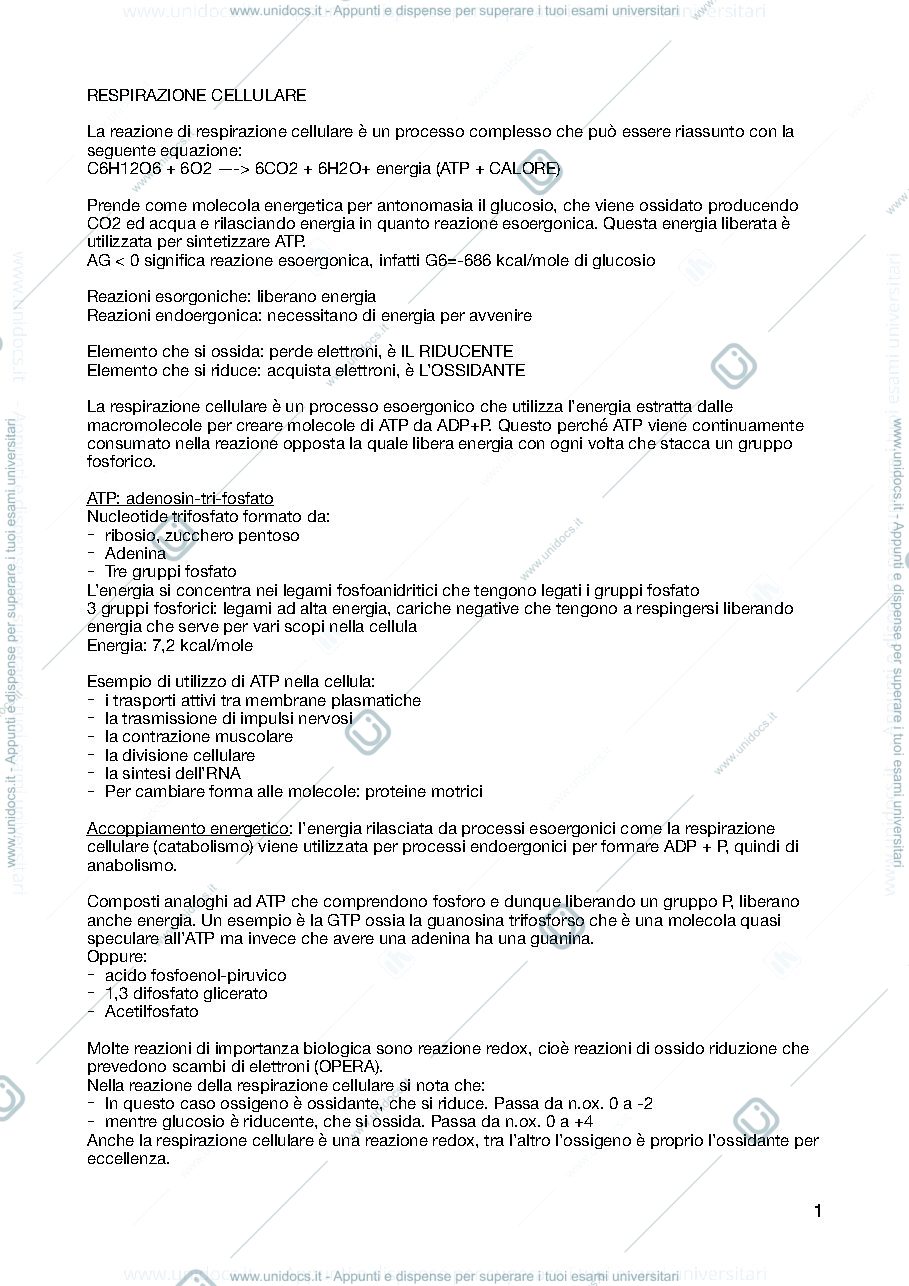 Anteprima pagina 1 — Biochimica 