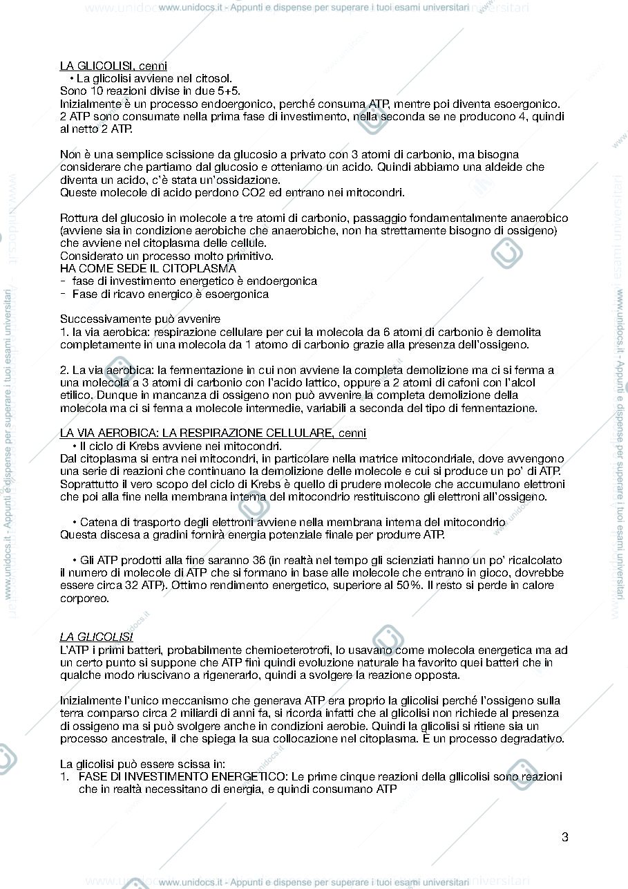 Anteprima pagina 3 — Biochimica 