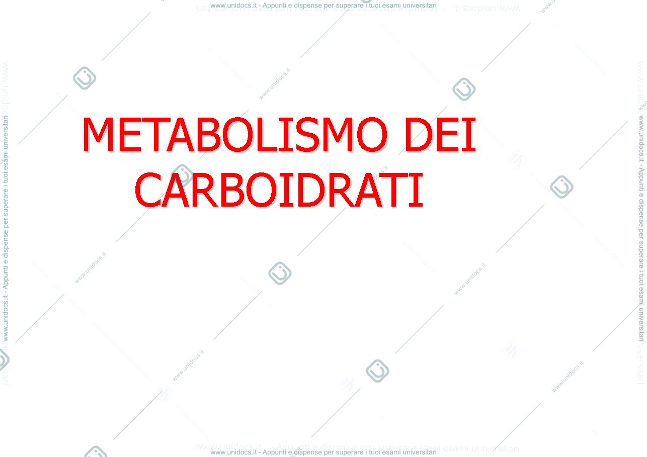 Anteprima pagina 1 — metabolismo dei carboidrati