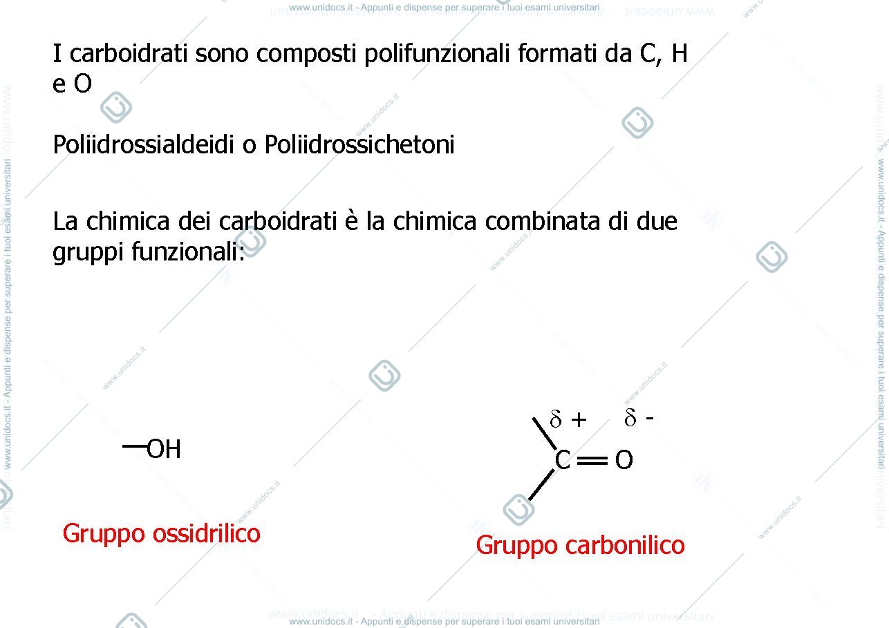 Anteprima pagina 3 — metabolismo dei carboidrati