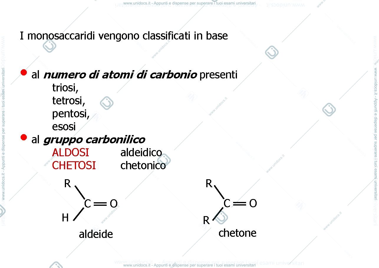 Anteprima pagina 4 — metabolismo dei carboidrati