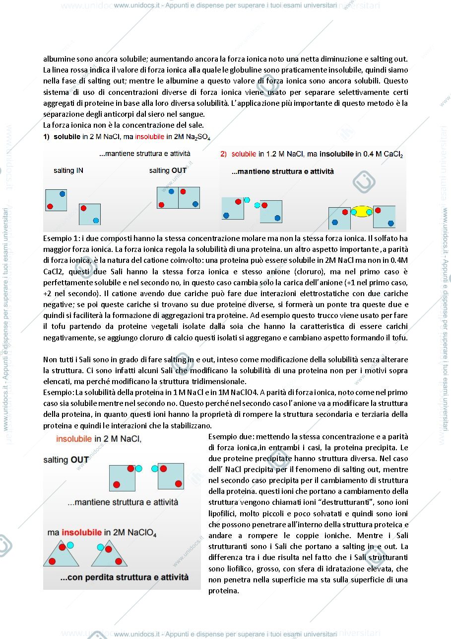 Anteprima pagina 2 — Biochimica alimentare