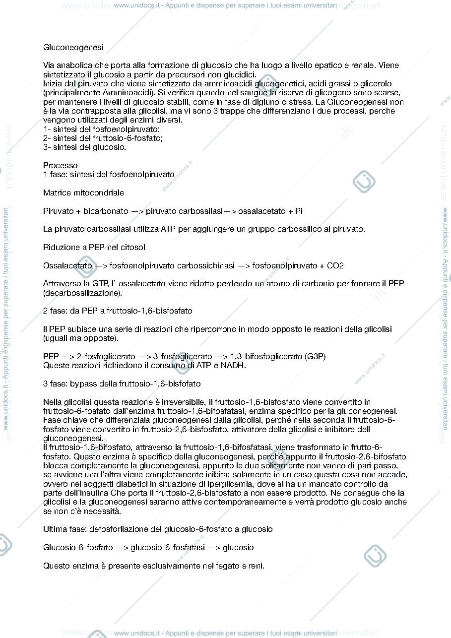 Anteprima pagina 1 — Biochimica