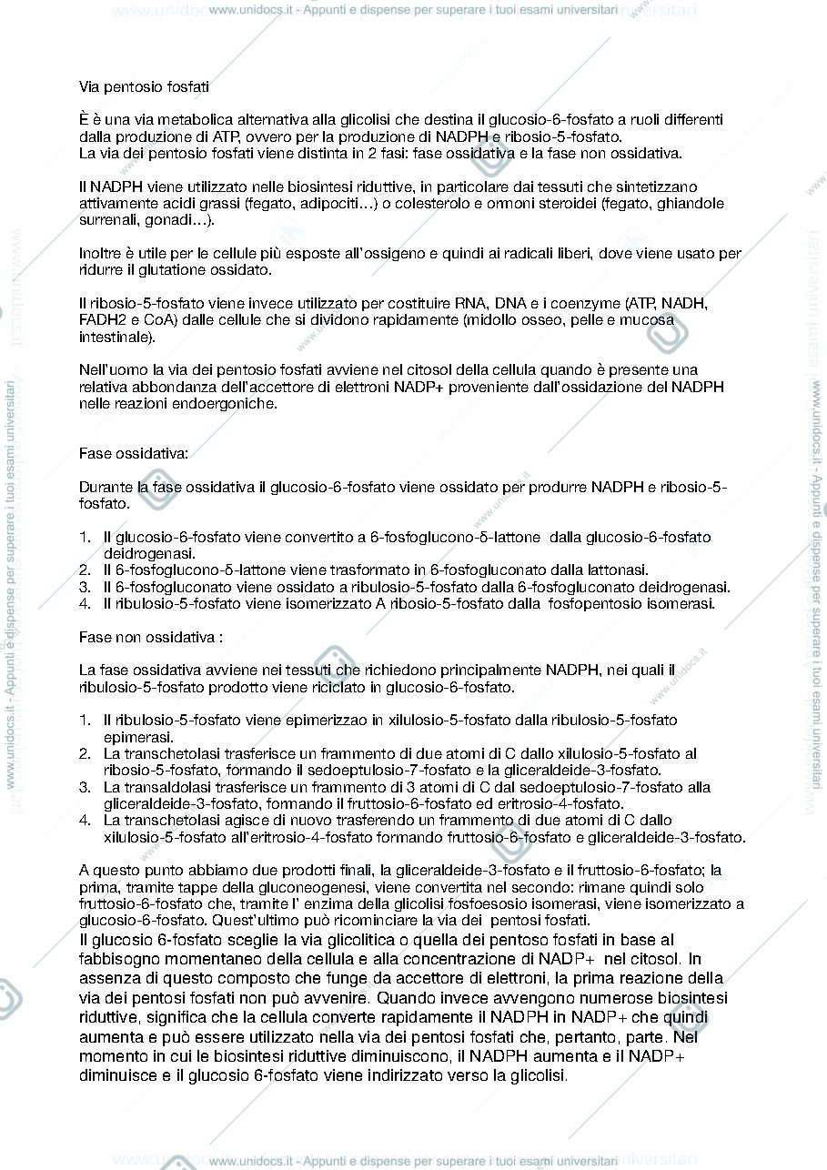 Anteprima pagina 2 — Biochimica