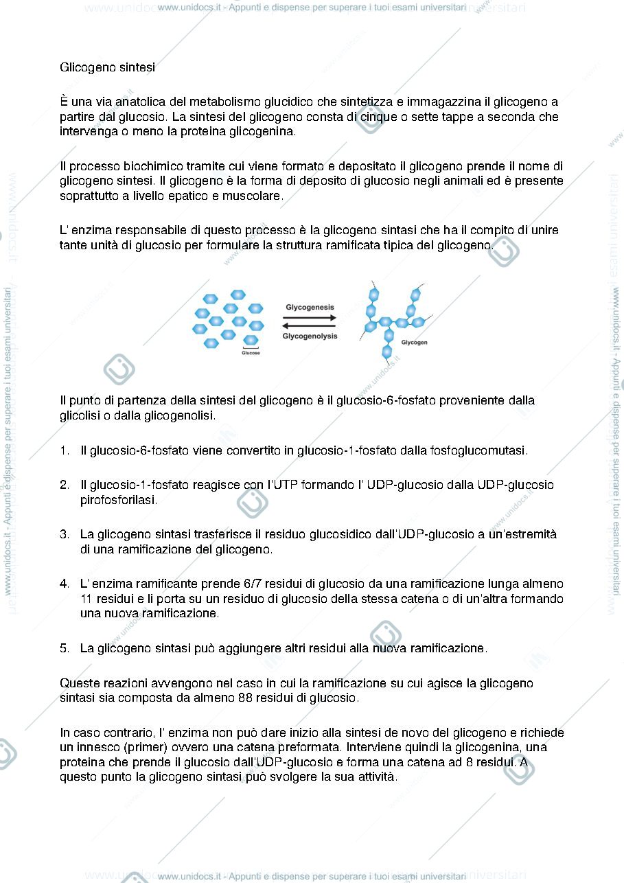 Anteprima pagina 3 — Biochimica