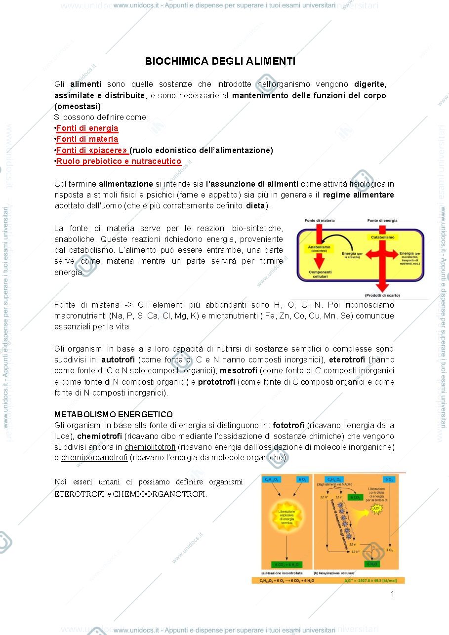 Anteprima pagina 1 — Biochimica degli alimenti 