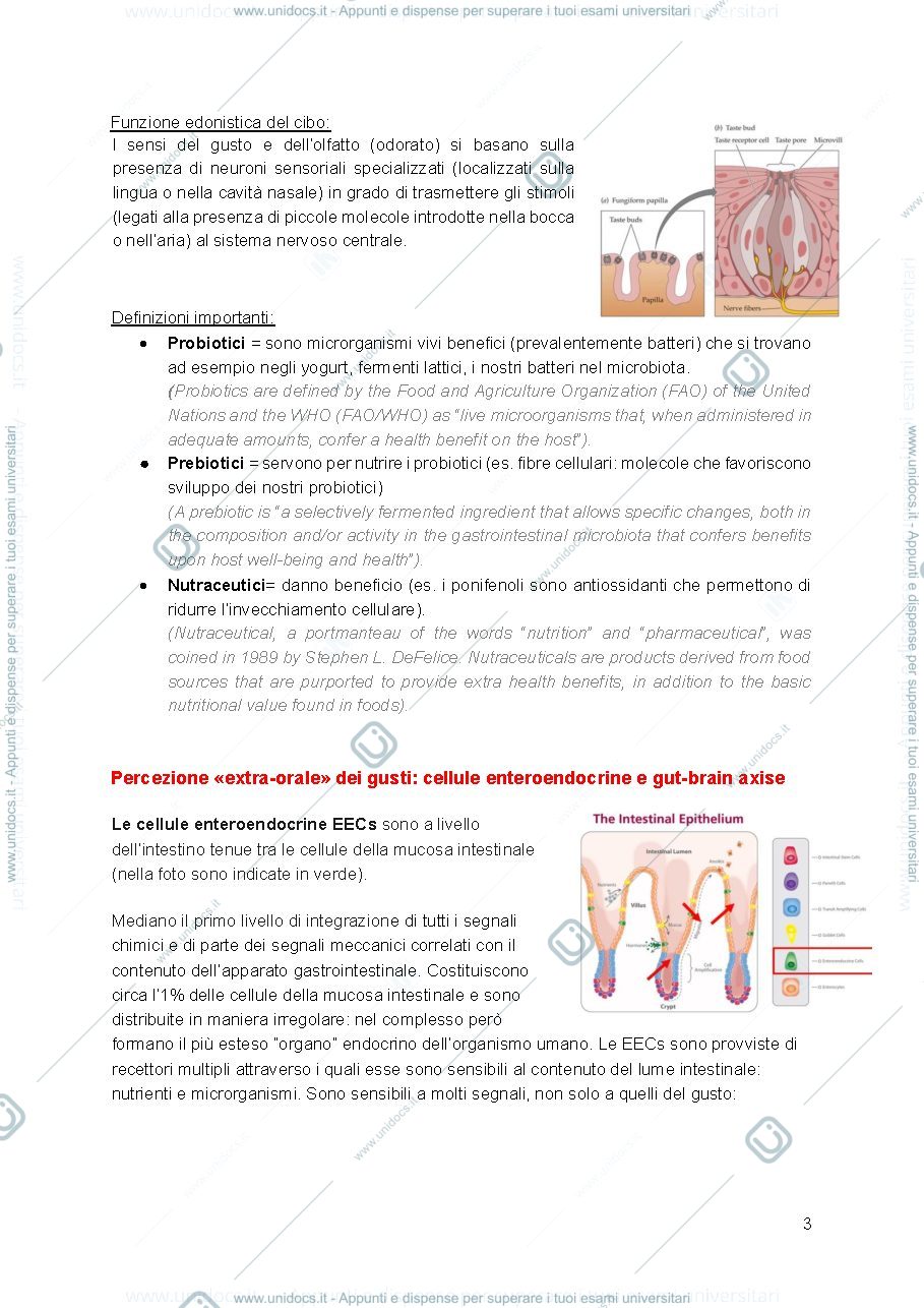 Anteprima pagina 3 — Biochimica degli alimenti 