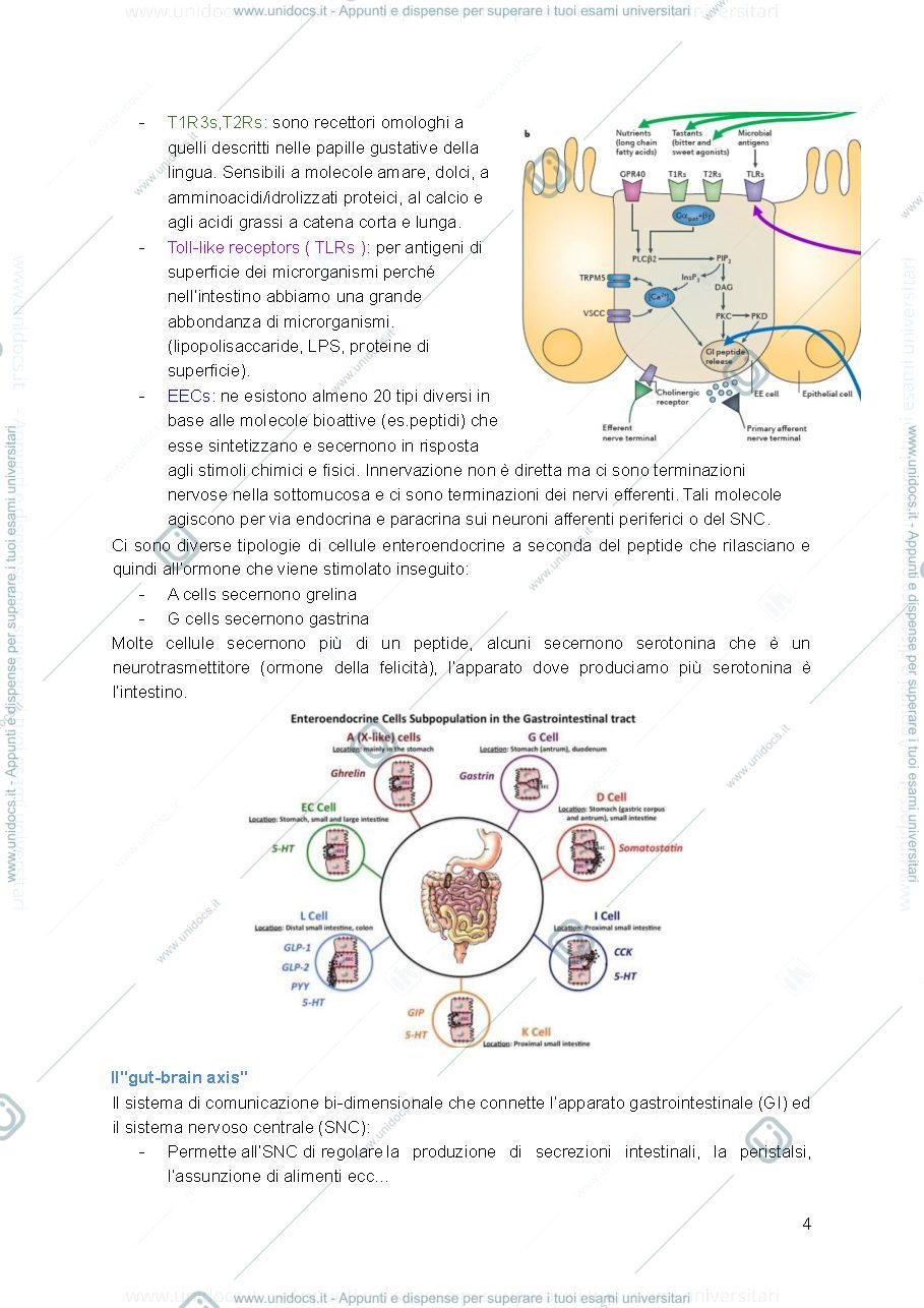 Anteprima pagina 4 — Biochimica degli alimenti 