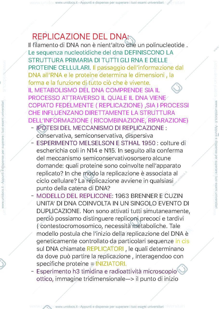 Anteprima pagina 1 — Replicazione del DNA