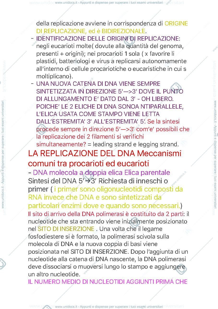 Anteprima pagina 2 — Replicazione del DNA