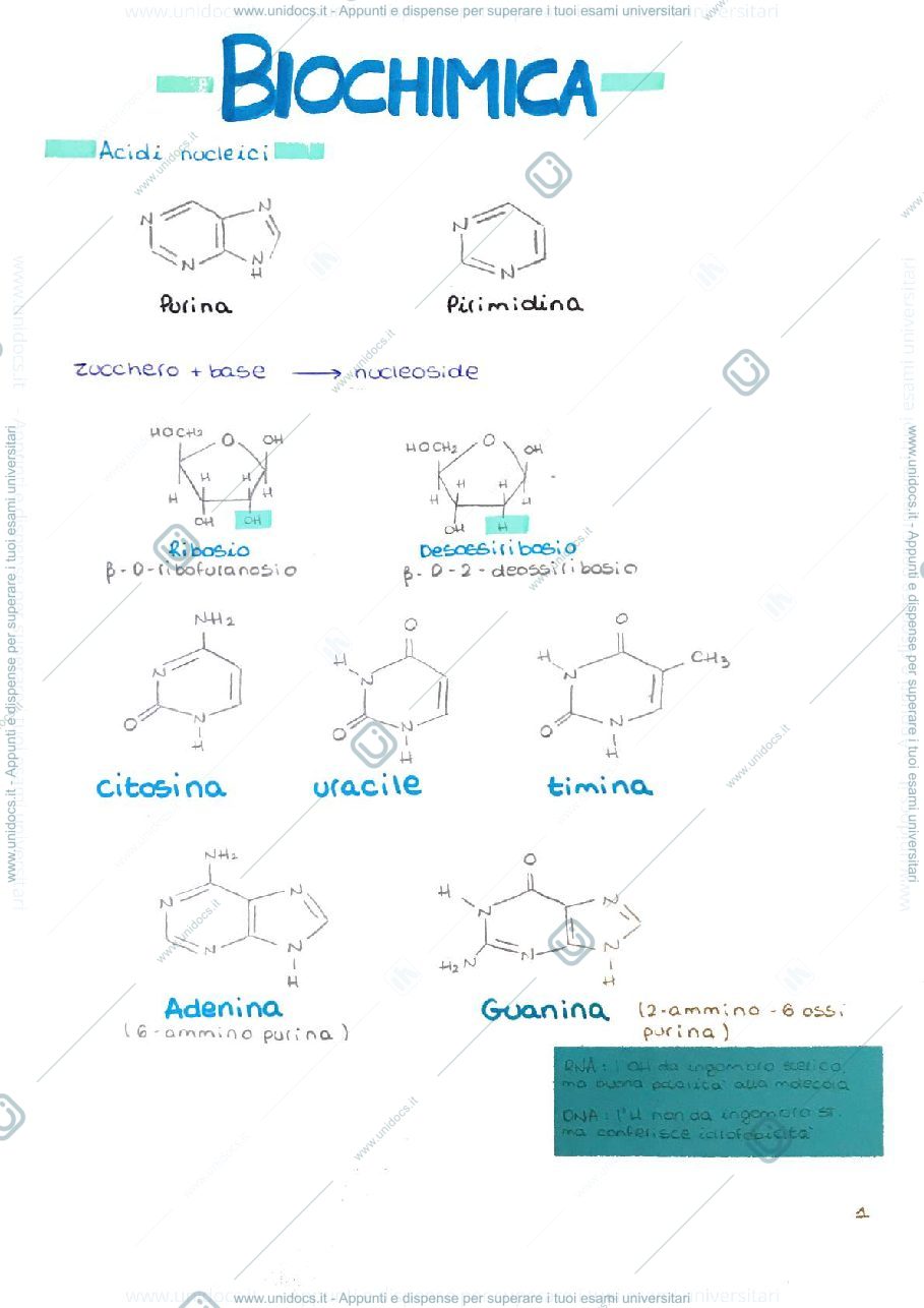 Anteprima pagina 1 — Biochimica 