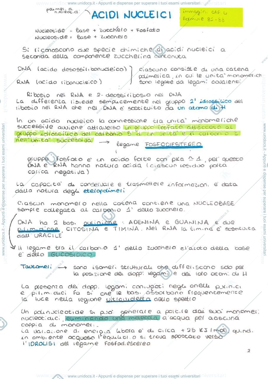 Anteprima pagina 2 — Biochimica 
