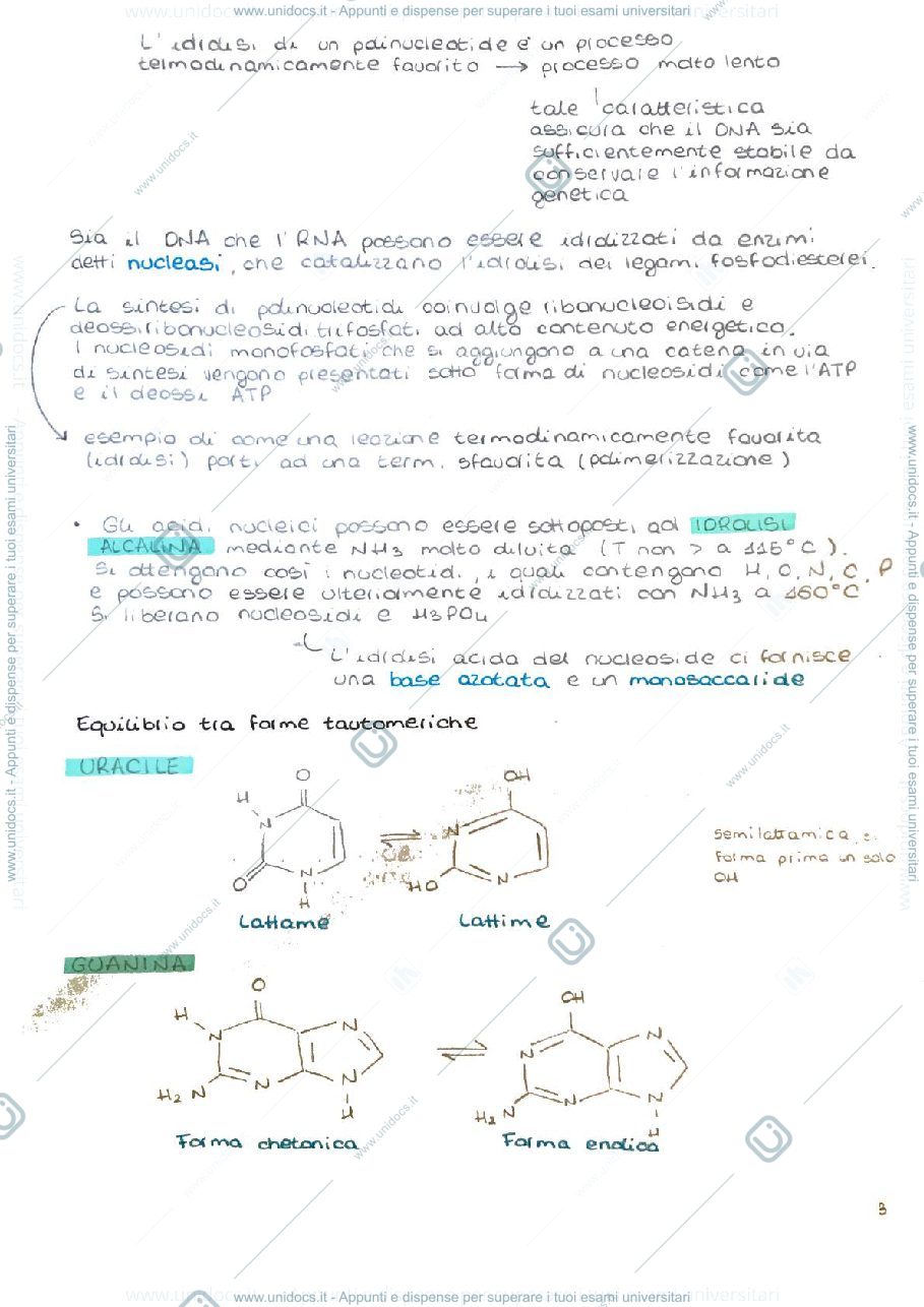 Anteprima pagina 3 — Biochimica 