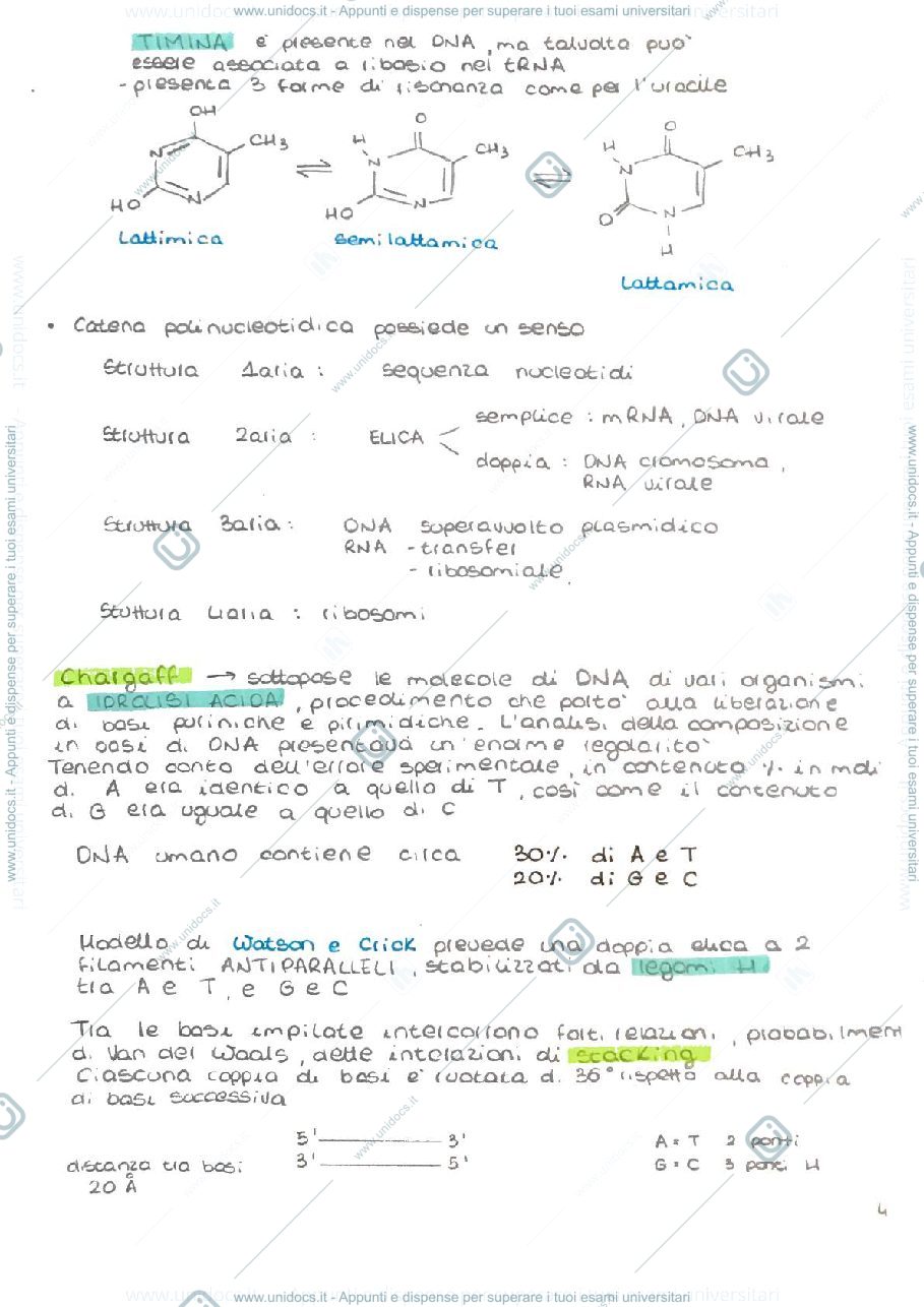Anteprima pagina 4 — Biochimica 